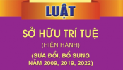 So sánh khái quát về xử lý xâm phạm quyền nhãn hiệu và cạnh tranh không lành mạnh trong lĩnh vực sở hữu công nghiệp